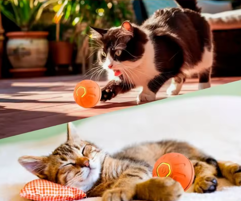 Pelota Interactiva Inteligente para Mascotas - Diversión y cariño para tu hijo peludo 🐾
