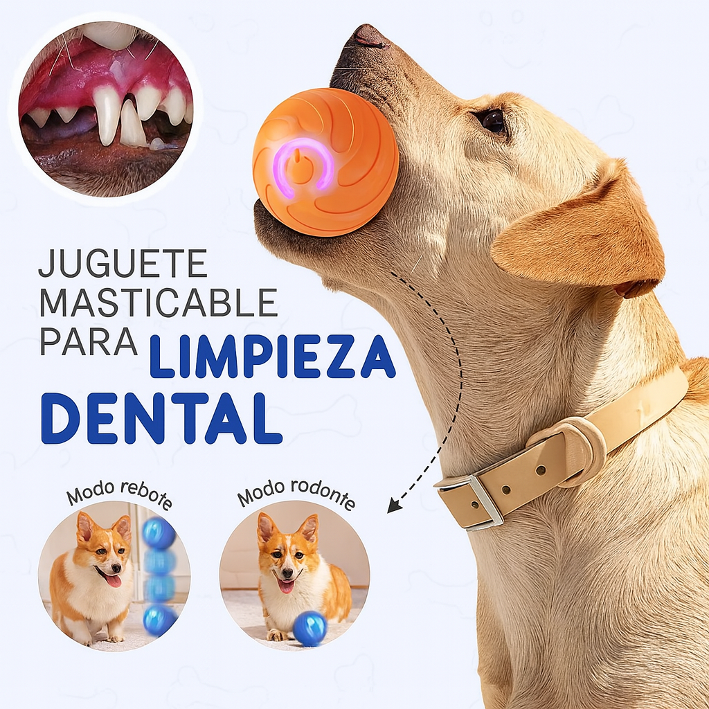 Pelota Interactiva Inteligente para Mascotas - Diversión y cariño para tu hijo peludo 🐾